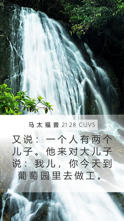 马 太 福 音 21:28 CUVS Bible Verse Image