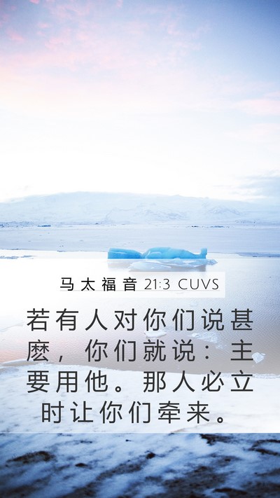 马 太 福 音 21:3 CUVS Bible Verse Image