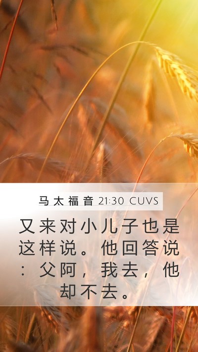马 太 福 音 21:30 CUVS Bible Verse Image