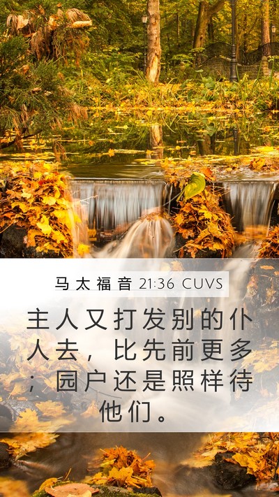 马 太 福 音 21:36 CUVS Bible Verse Image
