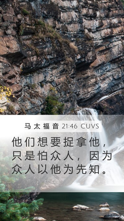 马 太 福 音 21:46 CUVS Bible Verse Image