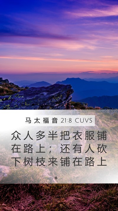 马 太 福 音 21:8 CUVS Bible Verse Image
