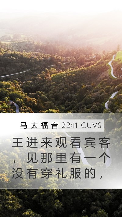 马 太 福 音 22:11 CUVS Bible Verse Image