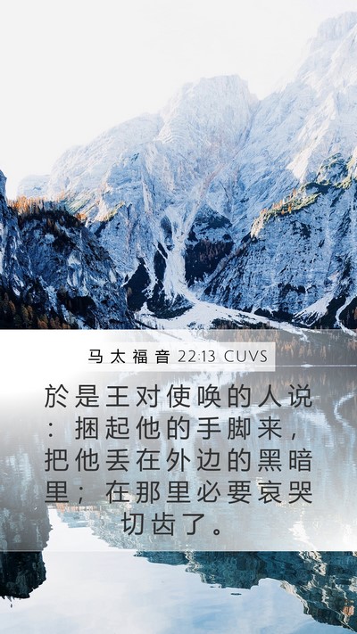 马 太 福 音 22:13 CUVS Bible Verse Image