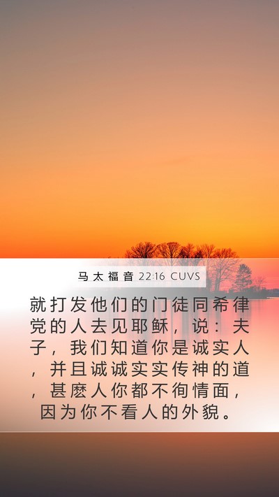 马 太 福 音 22:16 CUVS Bible Verse Image