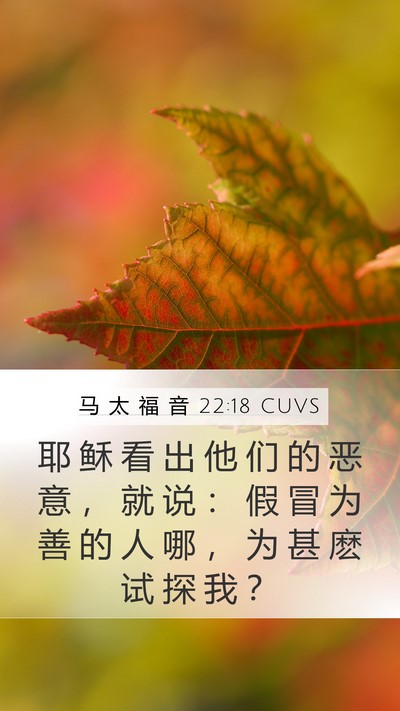 马 太 福 音 22:18 CUVS Bible Verse Image