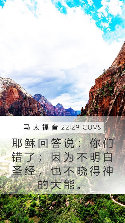 马 太 福 音 22:29 CUVS Bible Verse Image