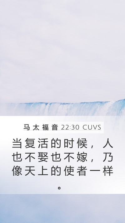 马 太 福 音 22:30 CUVS Bible Verse Image