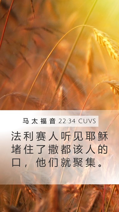 马 太 福 音 22:34 CUVS Bible Verse Image