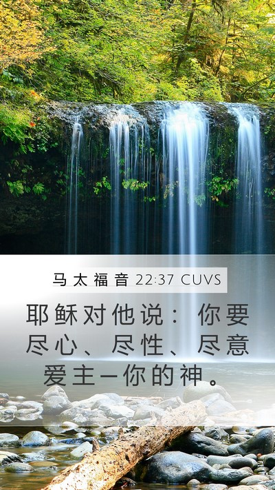 马 太 福 音 22:37 CUVS Bible Verse Image