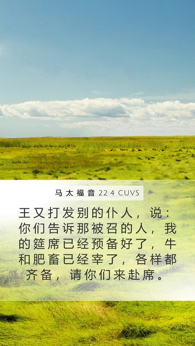 马 太 福 音 22:4 CUVS Bible Verse Image