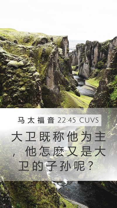 马 太 福 音 22:45 CUVS Mobile Phone Wallpaper - 大 卫 既 称 他 为 主 ， 他 怎 麽 又 - Mobile Bible Verse Wallpaper