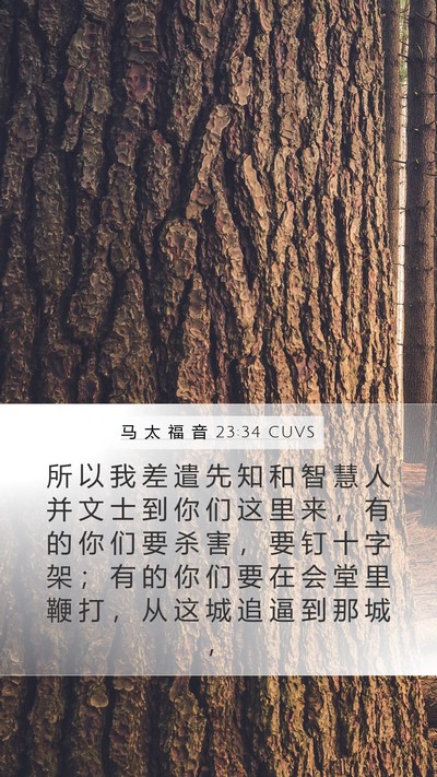 马 太 福 音 23:34 CUVS Bible Verse Image