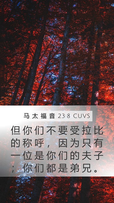马 太 福 音 23:8 CUVS Bible Verse Image