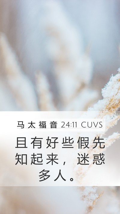 马 太 福 音 24:11 CUVS Bible Verse Image