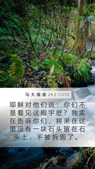 马 太 福 音 24:2 CUVS Bible Verse Image