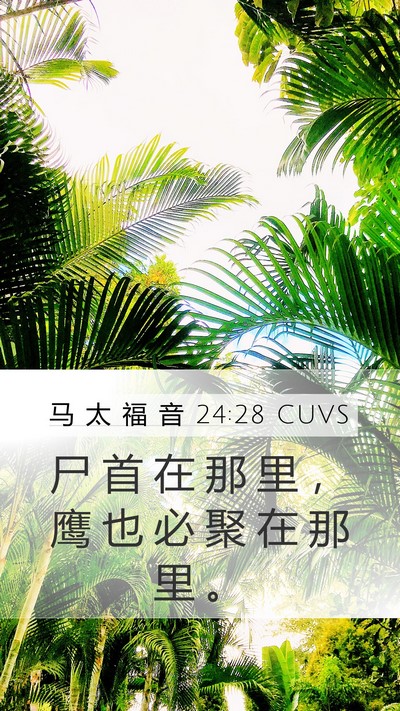 马 太 福 音 24:28 CUVS Mobile Phone Wallpaper - 尸 首 在 那 里 ， 鹰 也 必 聚 在 那 - Mobile Bible Verse Wallpaper