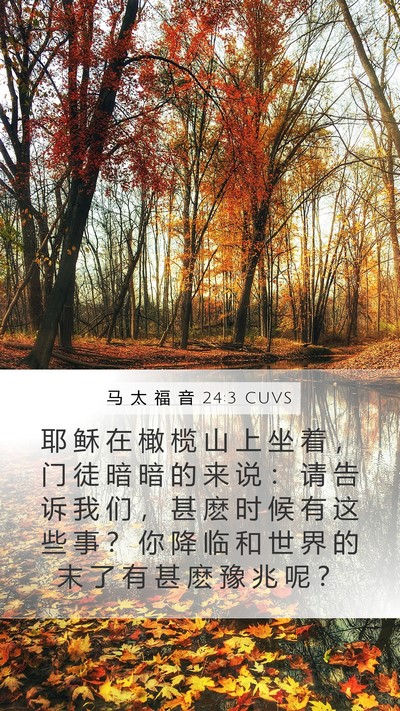 马 太 福 音 24:3 CUVS Bible Verse Image