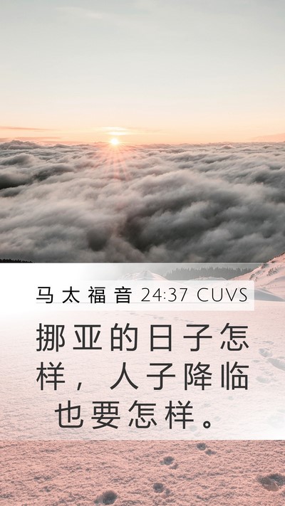 马 太 福 音 24:37 CUVS Bible Verse Image