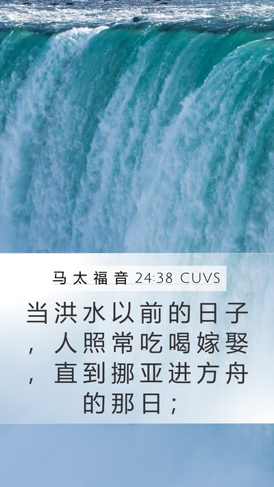 马 太 福 音 24:38 CUVS Bible Verse Image