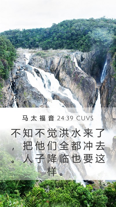 马 太 福 音 24:39 CUVS Bible Verse Image