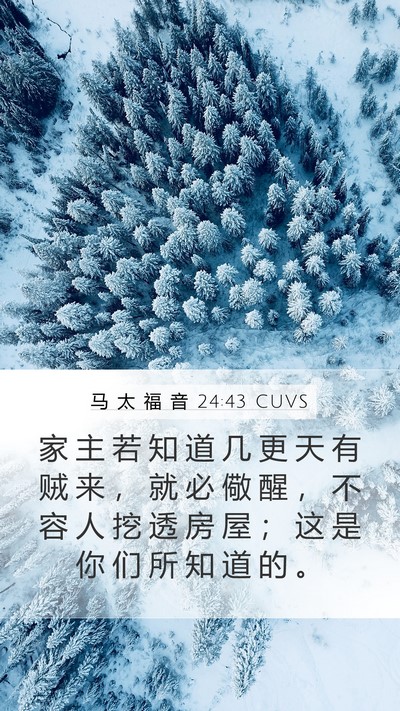 马 太 福 音 24:43 CUVS Mobile Phone Wallpaper - 家 主 若 知 道 几 更 天 有 贼 来 ， - Mobile Bible Verse Wallpaper