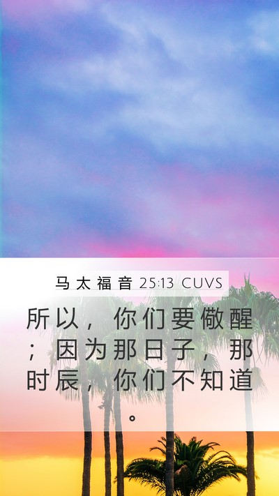 马 太 福 音 25:13 CUVS Bible Verse Image