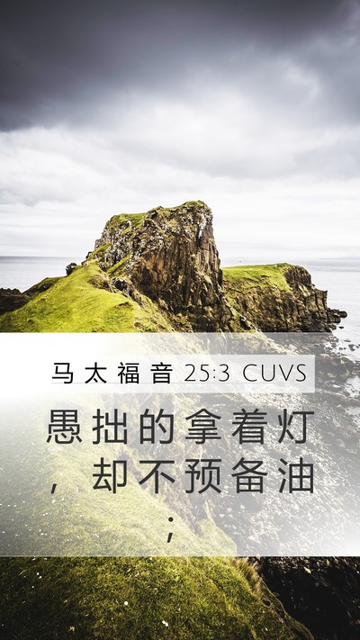 马 太 福 音 25:3 CUVS Mobile Phone Wallpaper - 愚 拙 的 拿 着 灯 ， 却 不 预 备 油 - Mobile Bible Verse Wallpaper