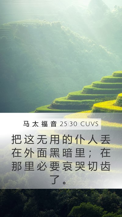 马 太 福 音 25:30 CUVS Bible Verse Image