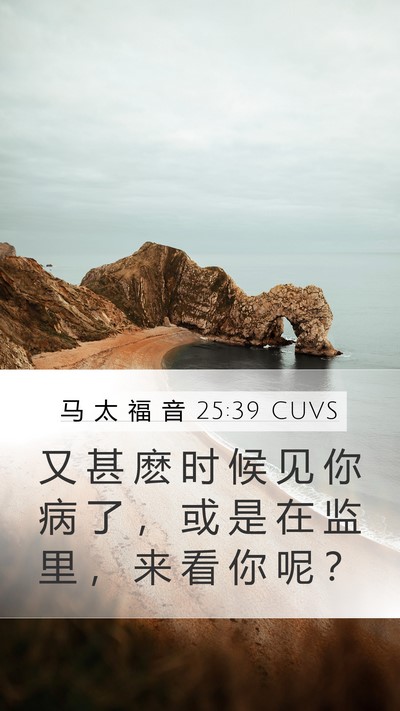 马 太 福 音 25:39 CUVS Mobile Phone Wallpaper - 又 甚 麽 时 候 见 你 病 了 ， 或 是 - Mobile Bible Verse Wallpaper