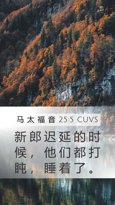 马 太 福 音 25:5 CUVS Bible Verse Image
