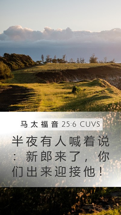马 太 福 音 25:6 CUVS Bible Verse Image