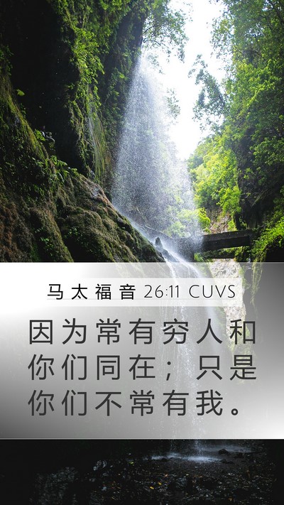 马 太 福 音 26:11 CUVS Bible Verse Image