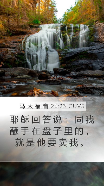 马 太 福 音 26:23 CUVS Mobile Phone Wallpaper - 耶 稣 回 答 说 ： 同 我 蘸 手 在 盘 - Mobile Bible Verse Wallpaper