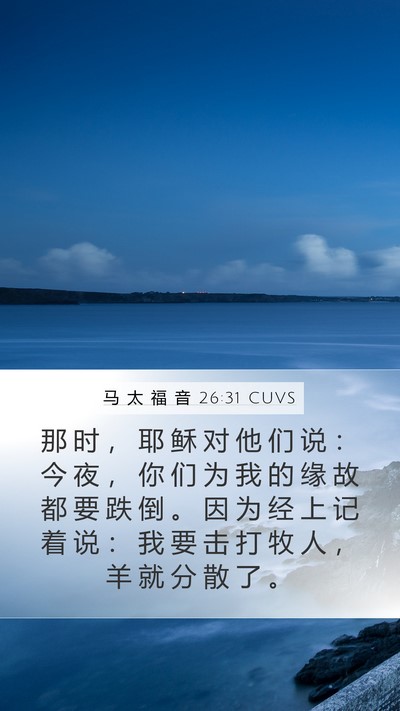 马 太 福 音 26:31 CUVS Bible Verse Image