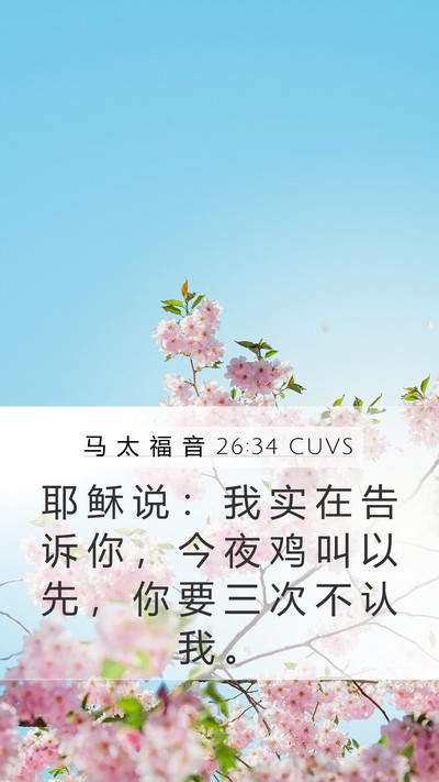 马 太 福 音 26:34 CUVS Bible Verse Image