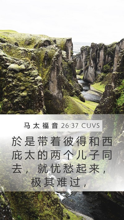 马 太 福 音 26:37 CUVS Bible Verse Image