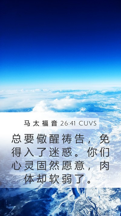 马 太 福 音 26:41 CUVS Bible Verse Image