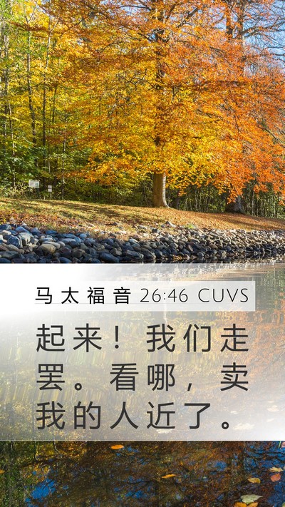 马 太 福 音 26:46 CUVS Mobile Phone Wallpaper - 起 来 ！ 我 们 走 罢 。 看 哪 ， 卖 - Mobile Bible Verse Wallpaper