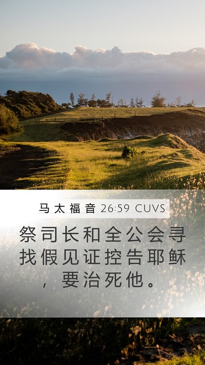 马 太 福 音 26:59 CUVS Bible Verse Image