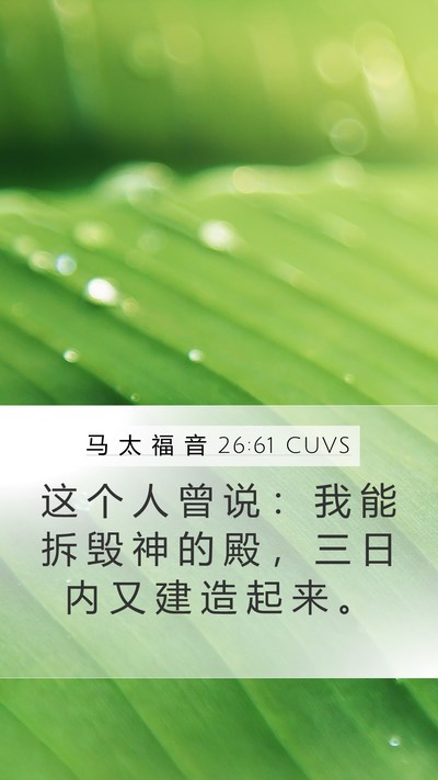 马 太 福 音 26:61 CUVS Bible Verse Image