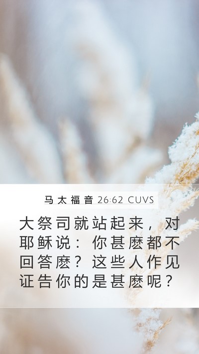 马 太 福 音 26:62 CUVS Bible Verse Image
