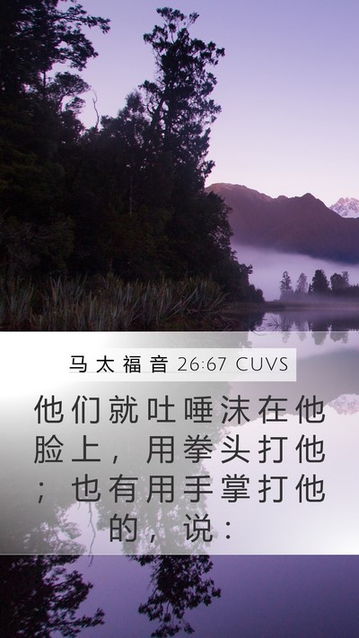 马 太 福 音 26:67 CUVS Bible Verse Image