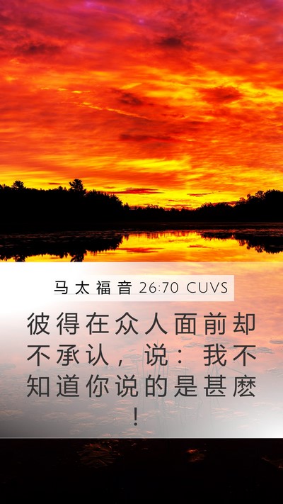 马 太 福 音 26:70 CUVS Mobile Phone Wallpaper - 彼 得 在 众 人 面 前 却 不 承 认 ， - Mobile Bible Verse Wallpaper