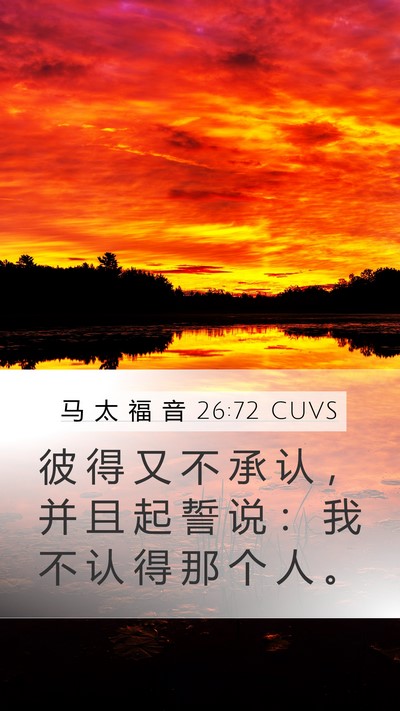 马 太 福 音 26:72 CUVS Mobile Phone Wallpaper - 彼 得 又 不 承 认 ， 并 且 起 誓 说 - Mobile Bible Verse Wallpaper