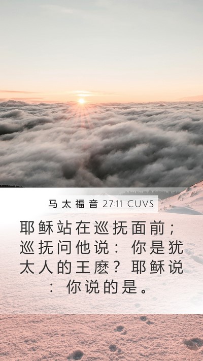 马 太 福 音 27:11 CUVS Bible Verse Image