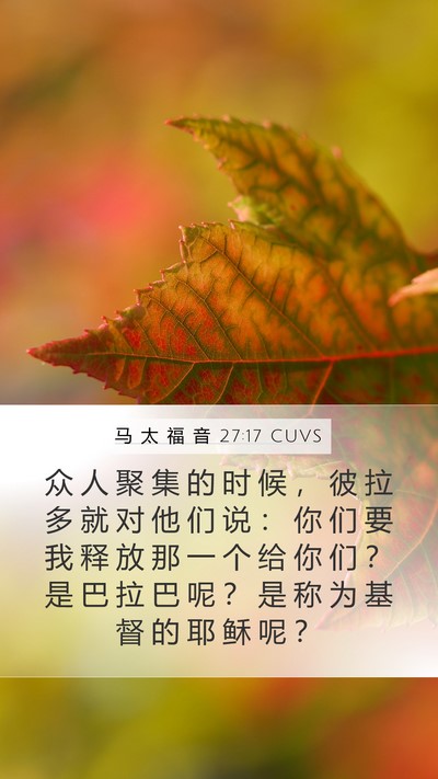 马 太 福 音 27:17 CUVS Bible Verse Image