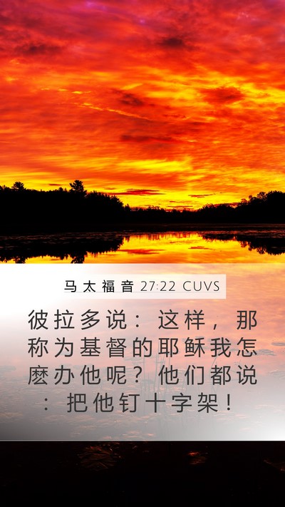马 太 福 音 27:22 CUVS Bible Verse Image