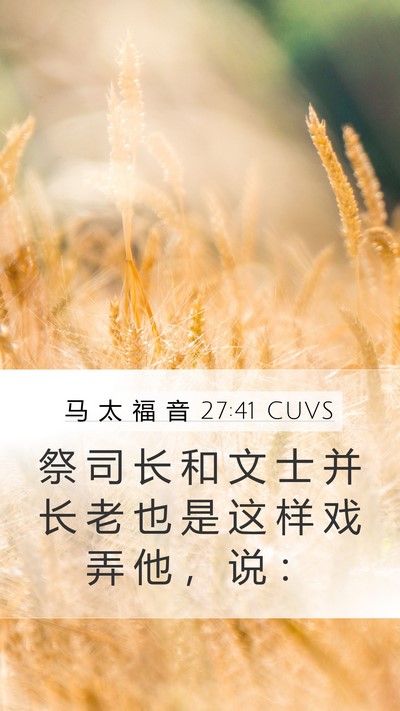 马 太 福 音 27:41 CUVS Bible Verse Image