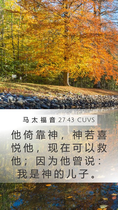 马 太 福 音 27:43 CUVS Bible Verse Image